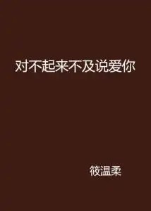 对不起来不及说爱你