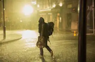 遇见你之前,我一直都在流浪流浪猫鲍勃影评