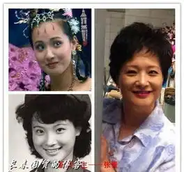 集体怀旧82版西游记演员今昔对比照