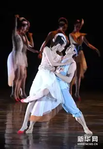 舞剧朱鹮在南宁上演
