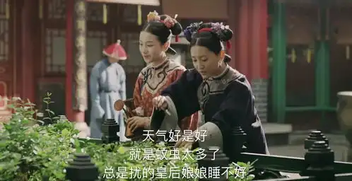 迎新季延禧攻略独家番外海大篇