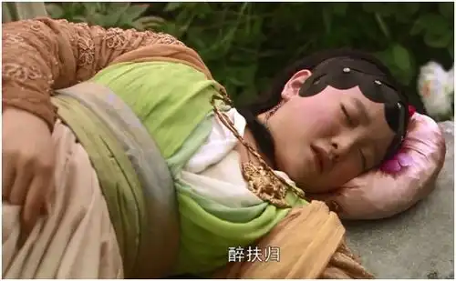 从两版湘云醉卧,看87版红楼梦的意境构图美学