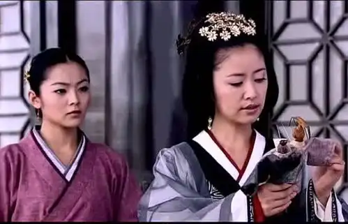 美人心计窦漪房搜出慎儿设下的巫蛊之术,看来这是要来个反击了
