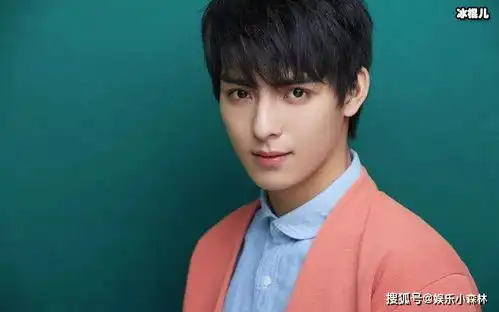 陈情令全员曾经想演薛洋薛洋本人却向公司提出解约