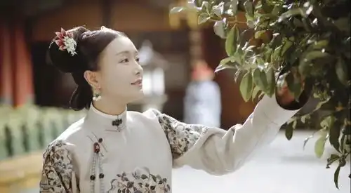 实体商业竞争激烈堪比,你能否活到下集预告