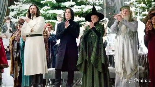 哈利波特的圣诞瞬间点亮你心中的节日彩灯