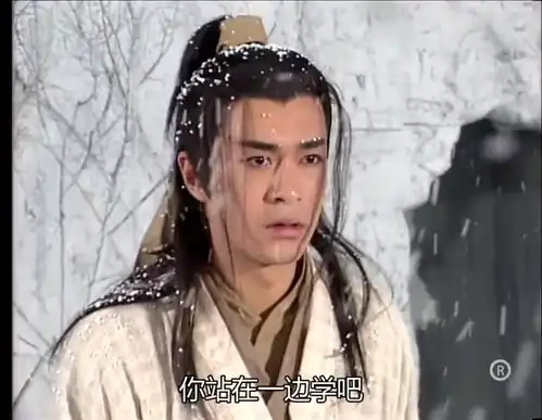 神雕每日都在看洪七公和欧阳锋比武,学到了很多