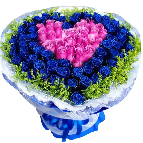 鸡西梨树区蓝妖妖姬鸡西梨树区预订蓝妖妖姬第5页
