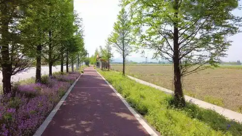 绍兴首条贯穿三区城市绿道规划出炉
