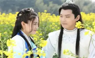 原本不被看好的4部电视剧,不仅打脸还火了,最后一部最意外