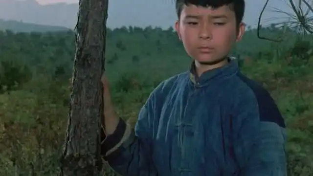 闪闪的红星,照我去战斗
