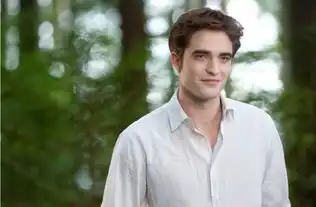 内地上映的迷失z城,让我欲哭无泪
