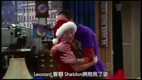 重温生活大爆炸,强迫症0情商清高自傲,怪胎天才也可爱