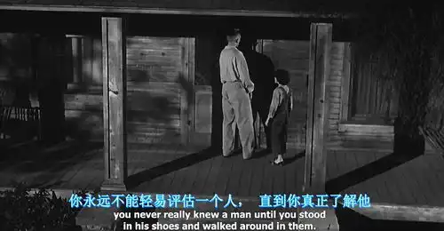 杀死一只知更鸟