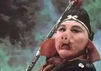 天等小伙写的征婚启事,七夕注定一个人过了
