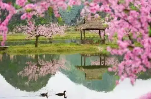 三生三世十里桃花累计播放量过500亿,原因终归是这几点
