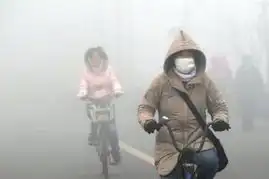 灰霾天气恐伤身除尘食谱救急厨电汇总

