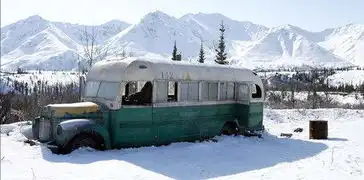 真实事件改编为了追求纯粹的内心,他死在了阿拉斯加的荒野
