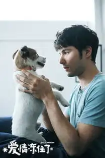 爱情冻住了曝凤小岳剧照林依晨送生日祝福
