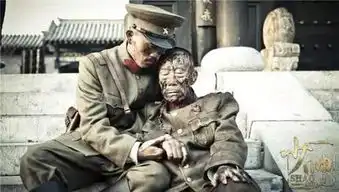 电视剧少帅里面的中国通们