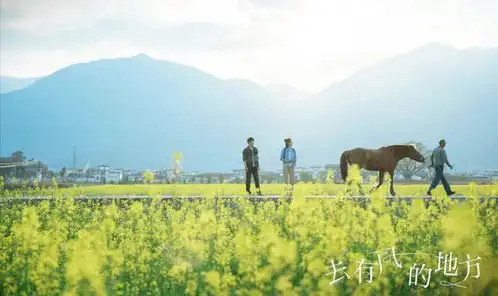 去有风的地方,寻找大理的诗意聚落
