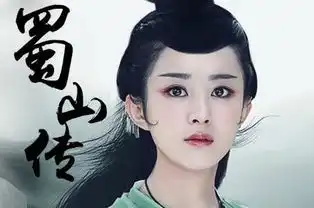 蜀山战纪什么时候播出
