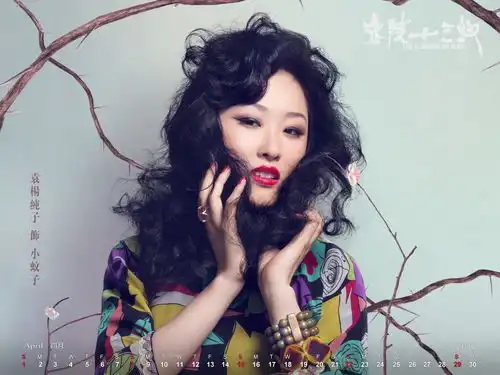 金陵十三钗台历写真婀娜多姿风情万种
