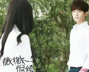 微微一笑很倾城2什么时候播出第二部杨洋不参演
