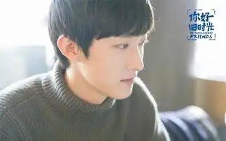 你好,旧时光剧照
