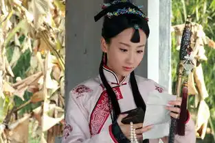 王者清风剧照