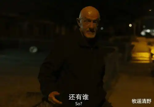 继绝命毒师之后,为何这部美剧能在豆瓣拿下9.8高分