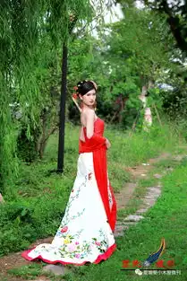 入围作品窈窕淑女君子好逑