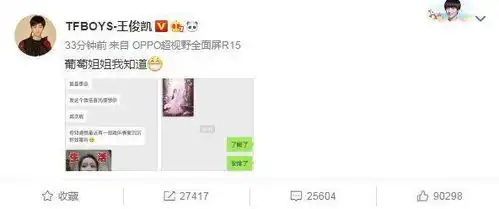 杨紫请求王俊凯帮忙宣传新剧,二人聊天记录曝光,杨紫很套路
