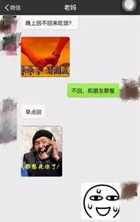 有一种代沟叫做爸妈让我解释表情包
