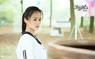 旋风少女第二季剧照
