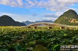 跟着三生三世十里桃花去看云南普者黑绝美山水
