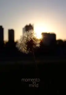 逃离城市在稻香里在星空下感受幸福
