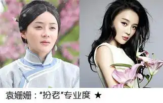 孙俪补拍甄嬛传美人垂垂老矣扮老牺牲美貌引争议