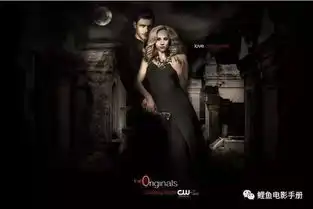 僵尸,怨灵,吸血鬼,恐怖灵异欧美剧集十六部