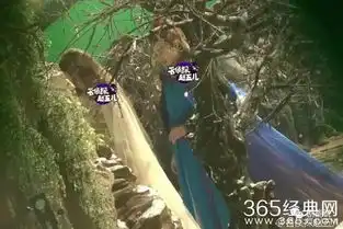 三生三世十里桃花竟然还有网剧版三版三生大对比
