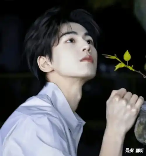 度华年后赵今麦张凌赫二搭新剧阵容班底强大,粉丝爱了