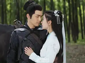 电视剧孤芳不自赏作者主题曲及剧照
