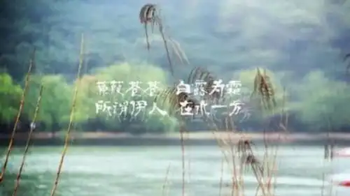 那些芦苇荡中的电影桥段大话西游最伤感
