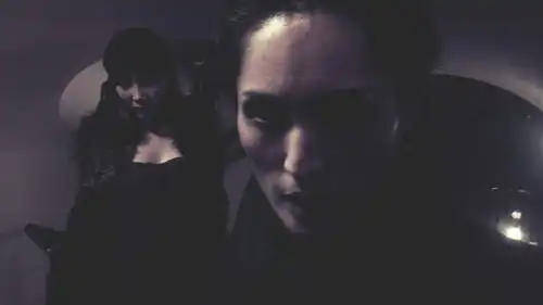 红粉佳人与蓝色妖姬
