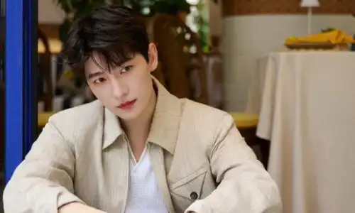 杨洋剧宣活动造型图集舒展而清新
