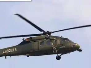 中国,直20中国,直20最新消息,新闻,图片,视频聚合阅读新浪网