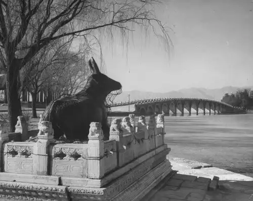 那些珍贵的照片,你肯定没见过