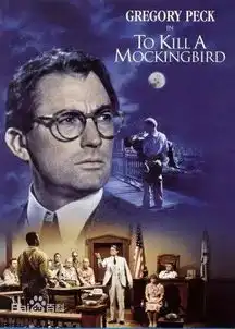 推荐法学生不可错过的电影
