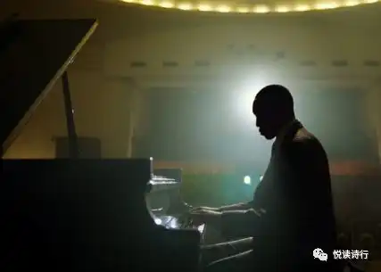 奥斯卡电影绿皮书,笑中带泪的种族主义
