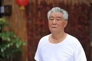 舰在亚丁湾剧照
